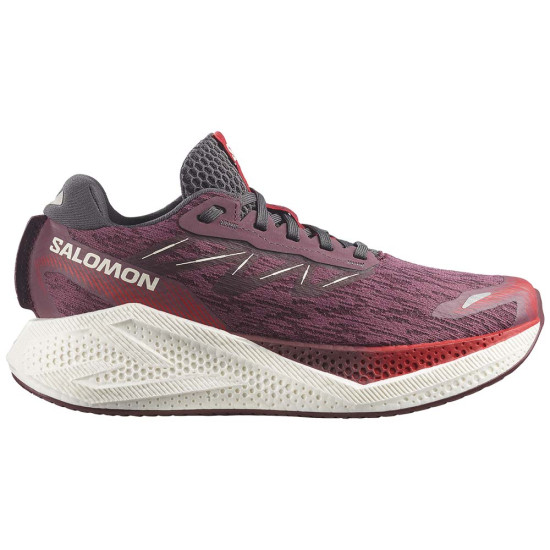 Salomon Aero Glide 4 W